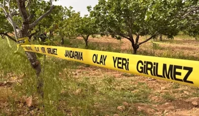 İNCİR BAHÇESİNDE SİLAHLAR KONUŞTU!