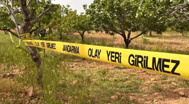 İNCİR BAHÇESİNDE SİLAHLAR KONUŞTU!